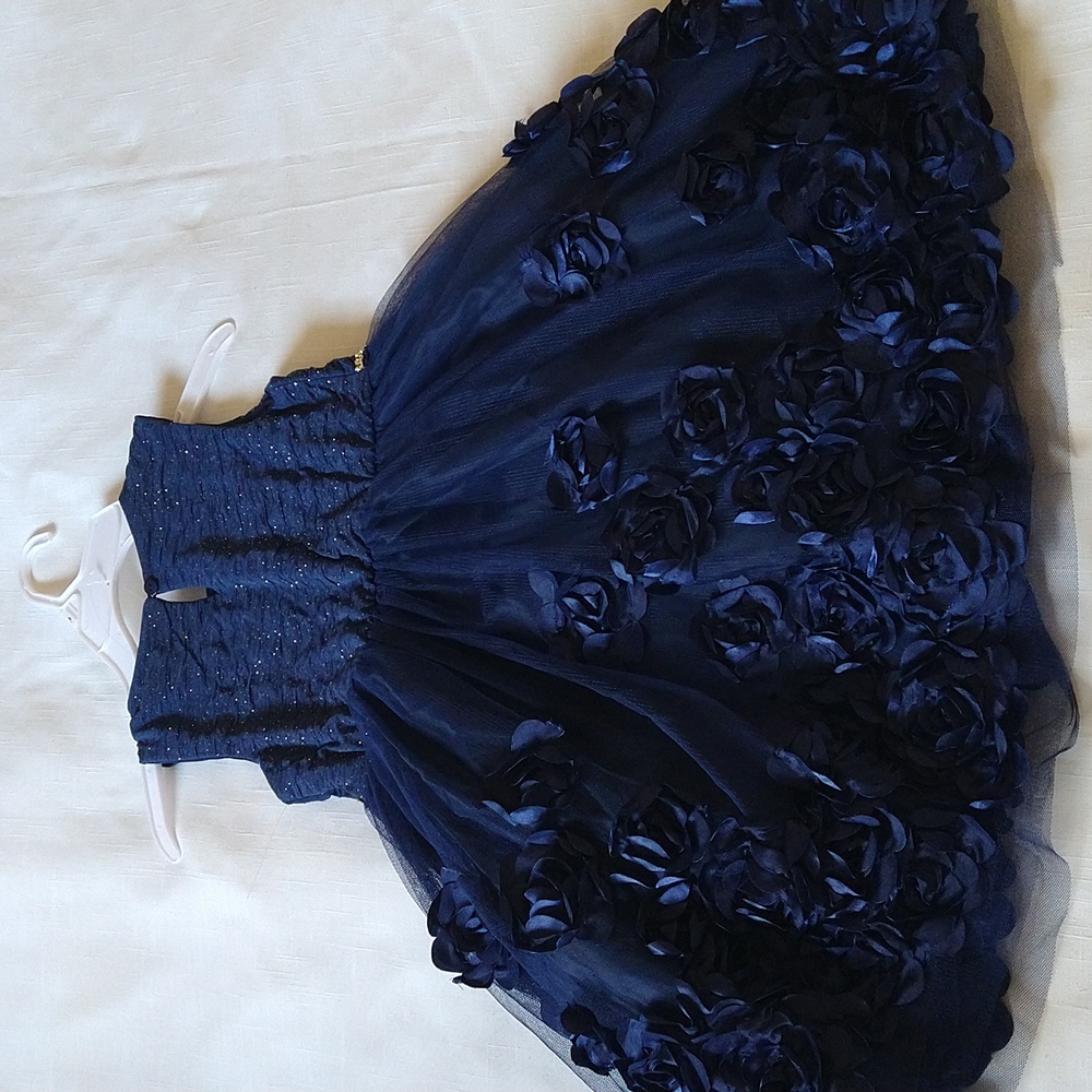 Flower girl dress sleeveless embroidered tulle sparkly dress size 5 - Picture 7 of 14